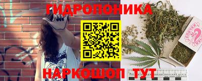гидропоника Пушкино