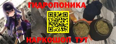 гидропоника Пушкино