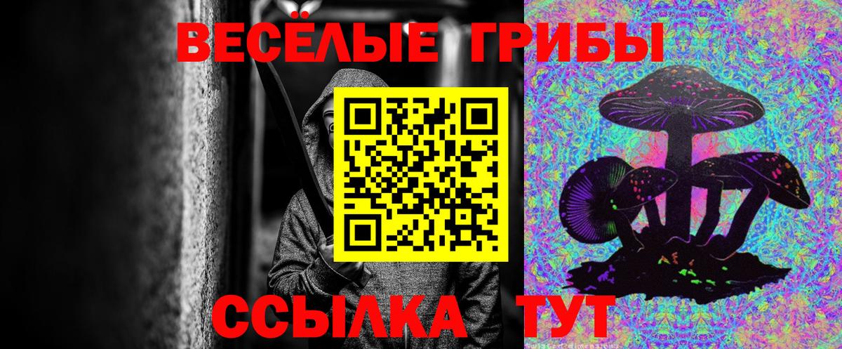 Южно-Сахалинск  Галлюциногенные грибы прущие грибы  Вход с VPN 